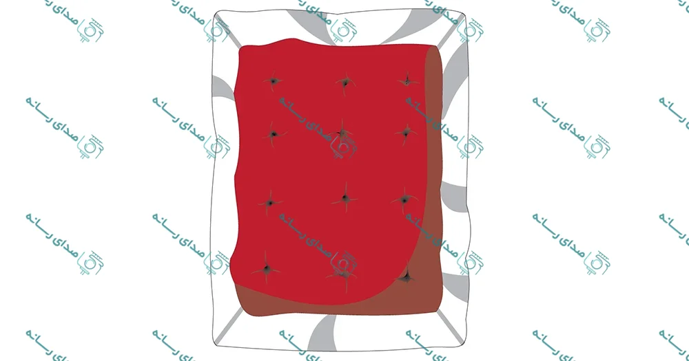 وکتور لایه باز طرح پتو
